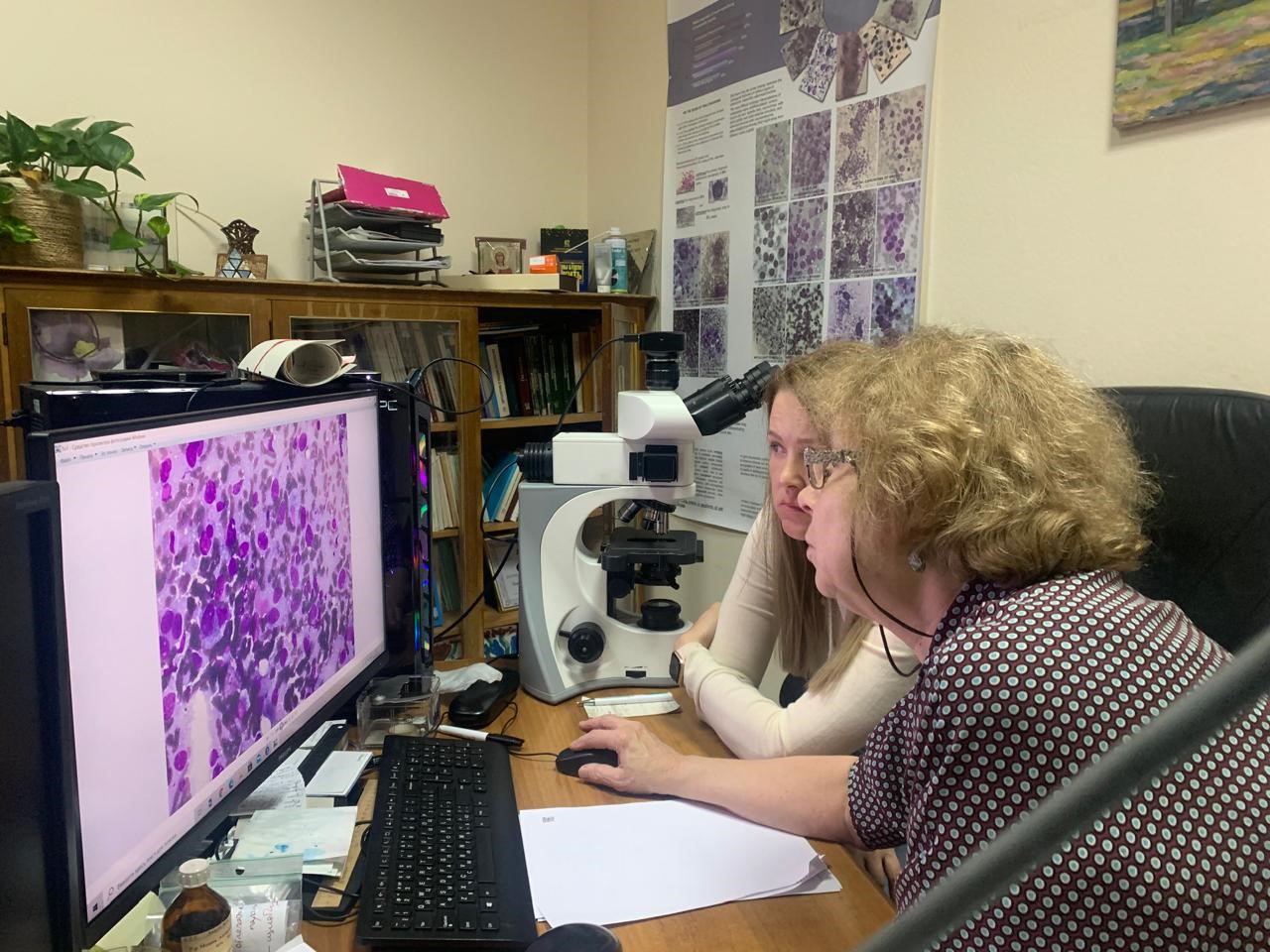 Eurasian Cancer Research Council